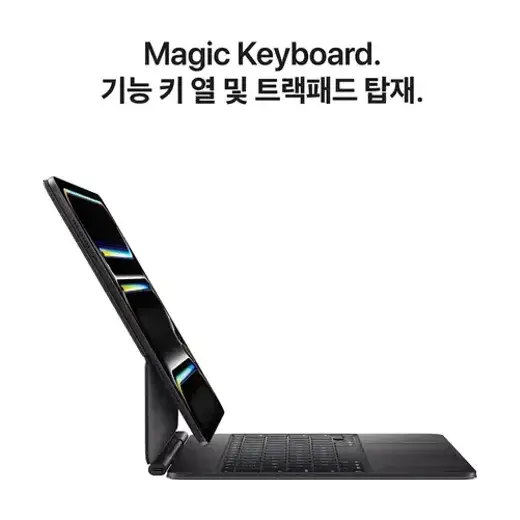 [애플] iPad Pro 13 M5 512GB MDYM4KH/A