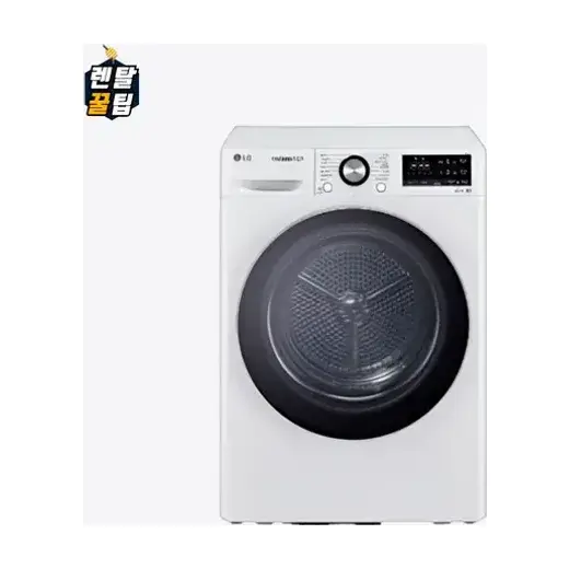 [LG] 트롬 듀얼 인버터 히트펌프 건조기 10kg 화이트 RH10WTW